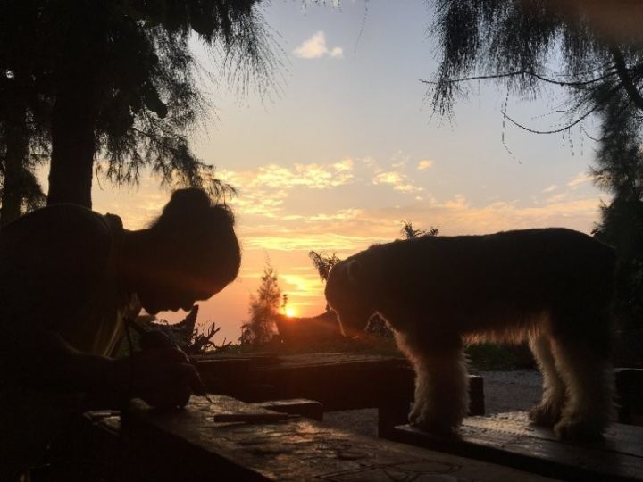 慢點(diǎn)藝術(shù)民宿，世間所有努力都是為了慢點(diǎn)