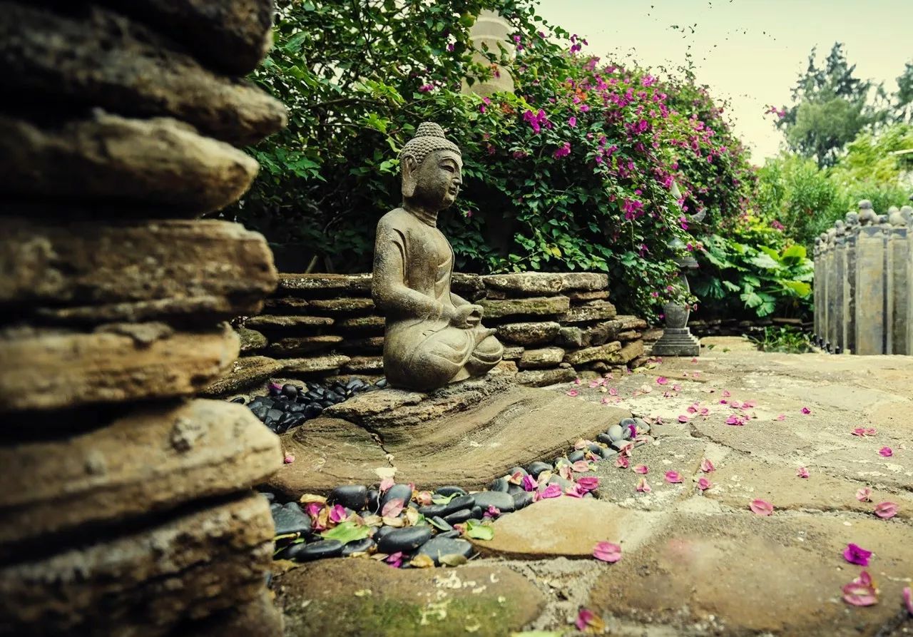 慢點(diǎn)藝術(shù)民宿，世間所有努力都是為了慢點(diǎn)