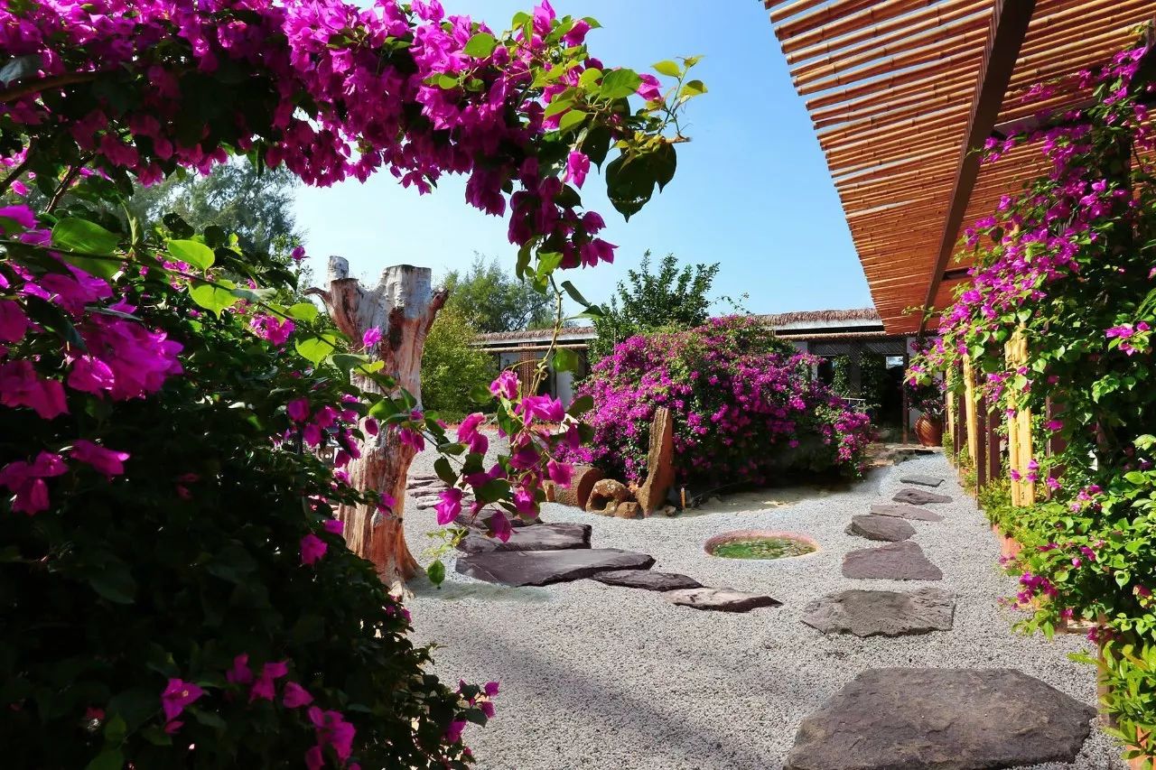 慢點(diǎn)藝術(shù)民宿，世間所有努力都是為了慢點(diǎn)