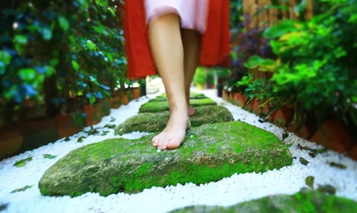 慢點藝術民宿，世間所有努力都是為了慢點