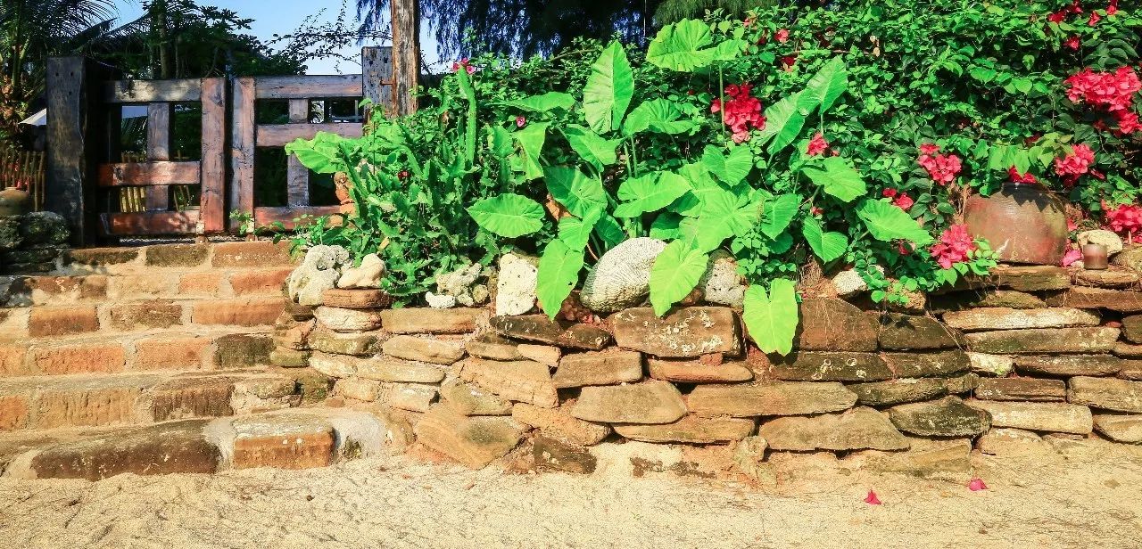 慢點藝術民宿，世間所有努力都是為了慢點