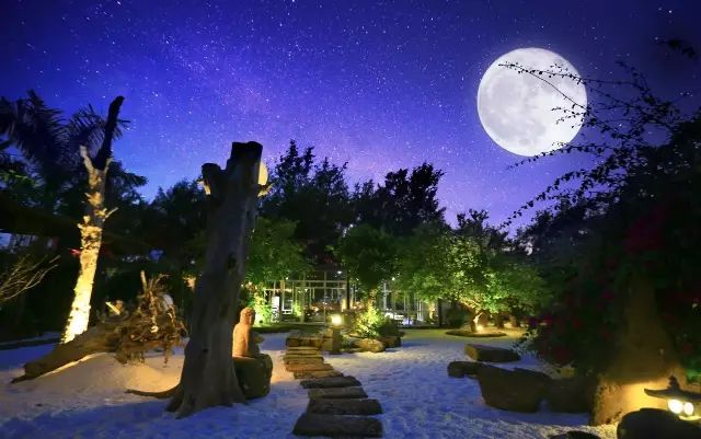 慢點藝術(shù)民宿，世間所有努力都是為了慢點