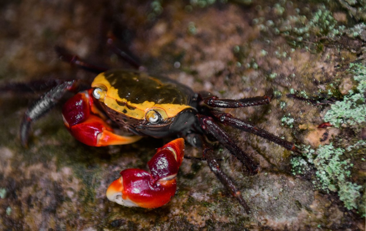 寧波·走點(diǎn)灣路，人生總需要走點(diǎn)彎路才能柳暗花
