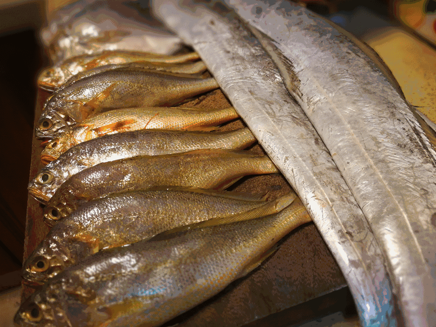 寧波·走點(diǎn)灣路，人生總需要走點(diǎn)彎路才能柳暗花