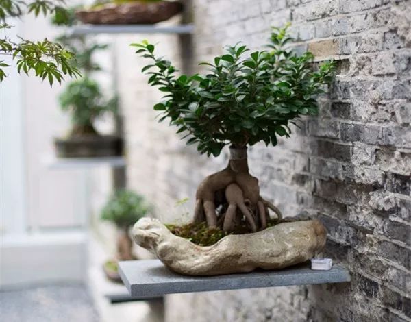 上海·錦上云宿，傳播傳統(tǒng)文化讓老宅重獲新靈魂