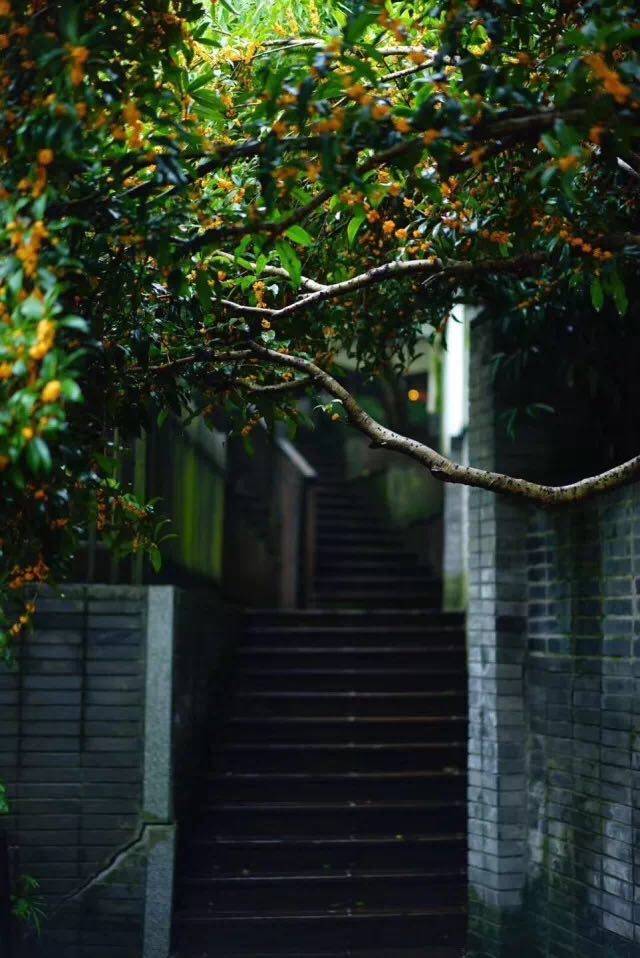 杭州·棲遲，還是那個(gè)獨(dú)一無(wú)二的黑白灰