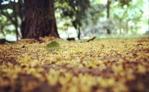 杭州·棲遲，還是那個(gè)獨(dú)一無(wú)二的黑白灰