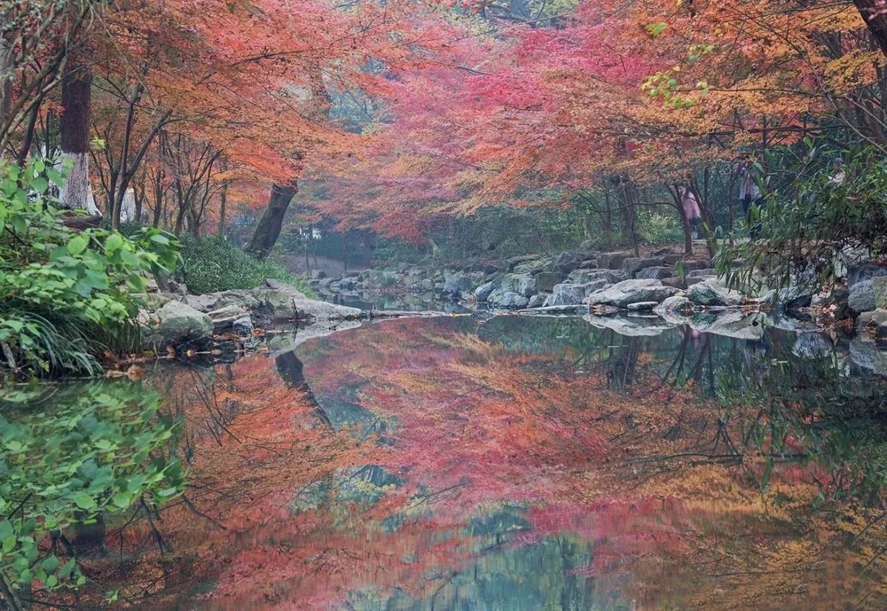 杭州·棲遲，還是那個獨(dú)一無二的黑白灰