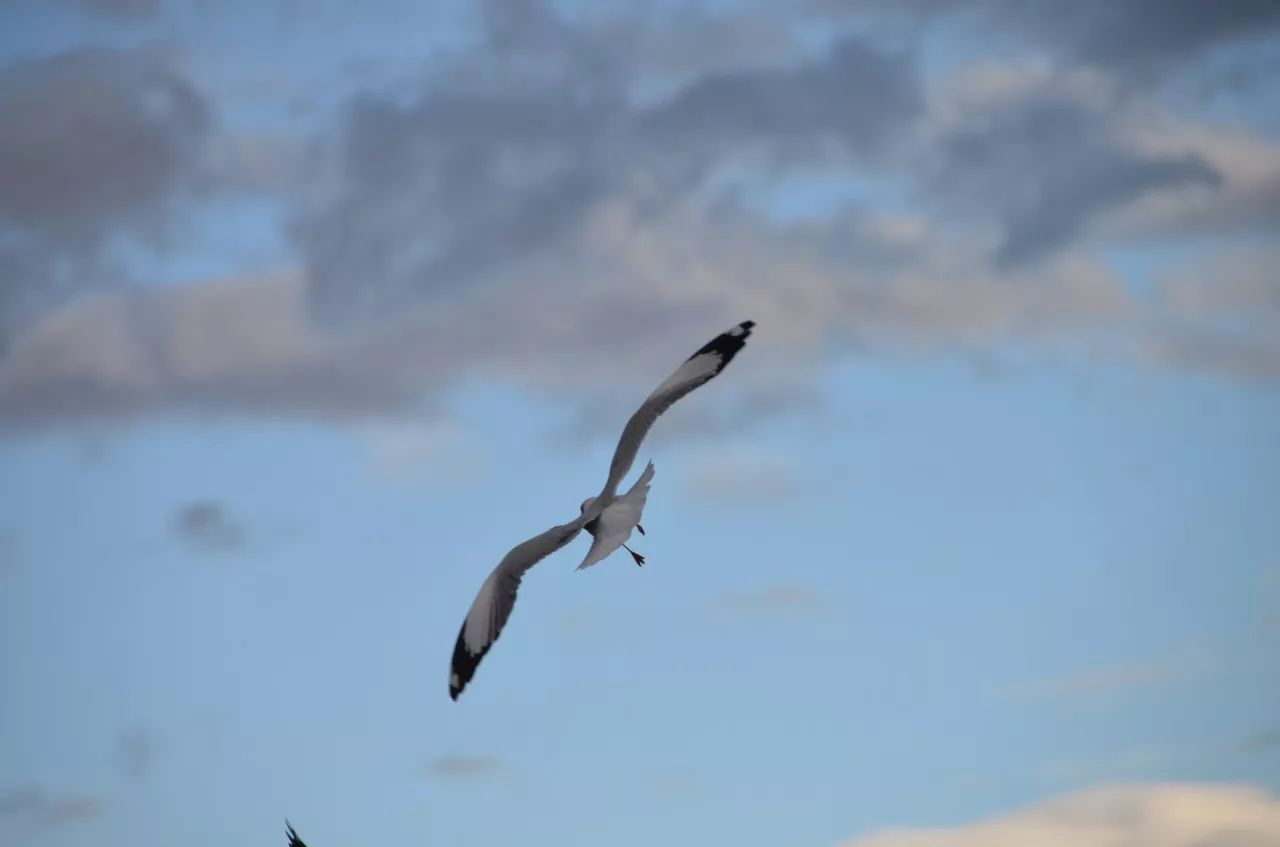 瀘沽湖·野火集，時(shí)光匆忙別錯(cuò)過(guò)年輕的瘋狂