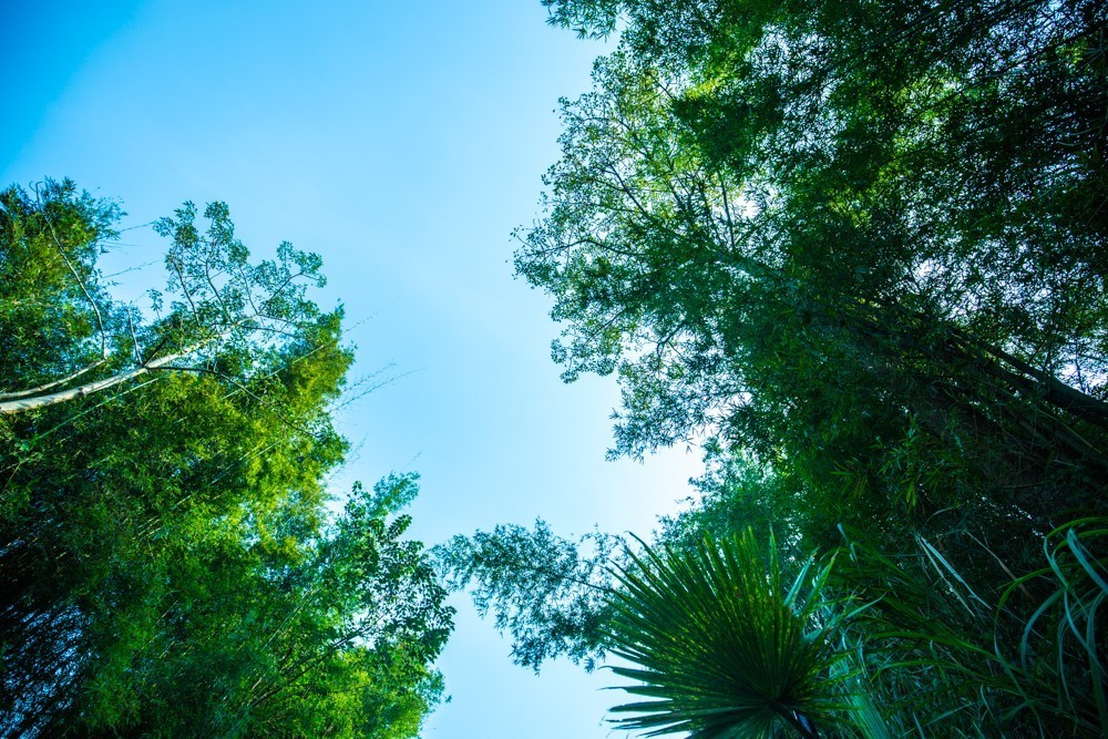 時(shí)光島，一間讓“時(shí)光倒流”300畝獨(dú)島民宿