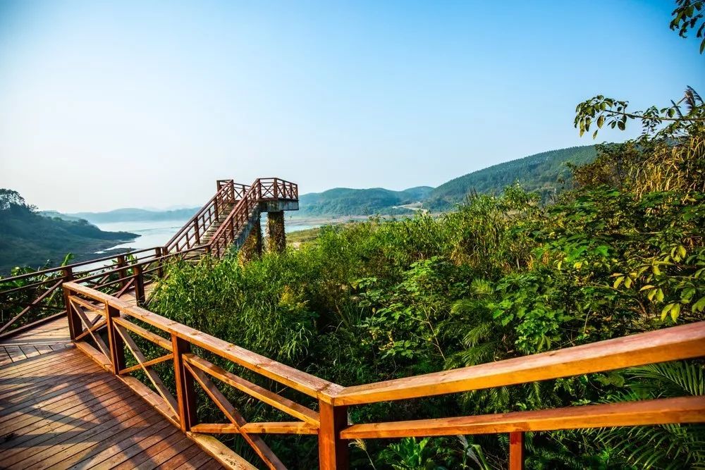 時(shí)光島，一間讓“時(shí)光倒流”300畝獨(dú)島民宿