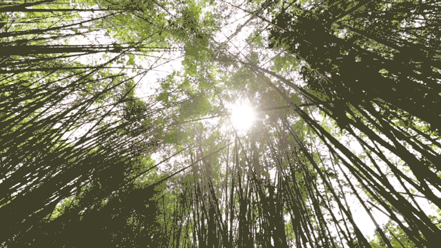 時(shí)光島，一間讓“時(shí)光倒流”300畝獨(dú)島民宿