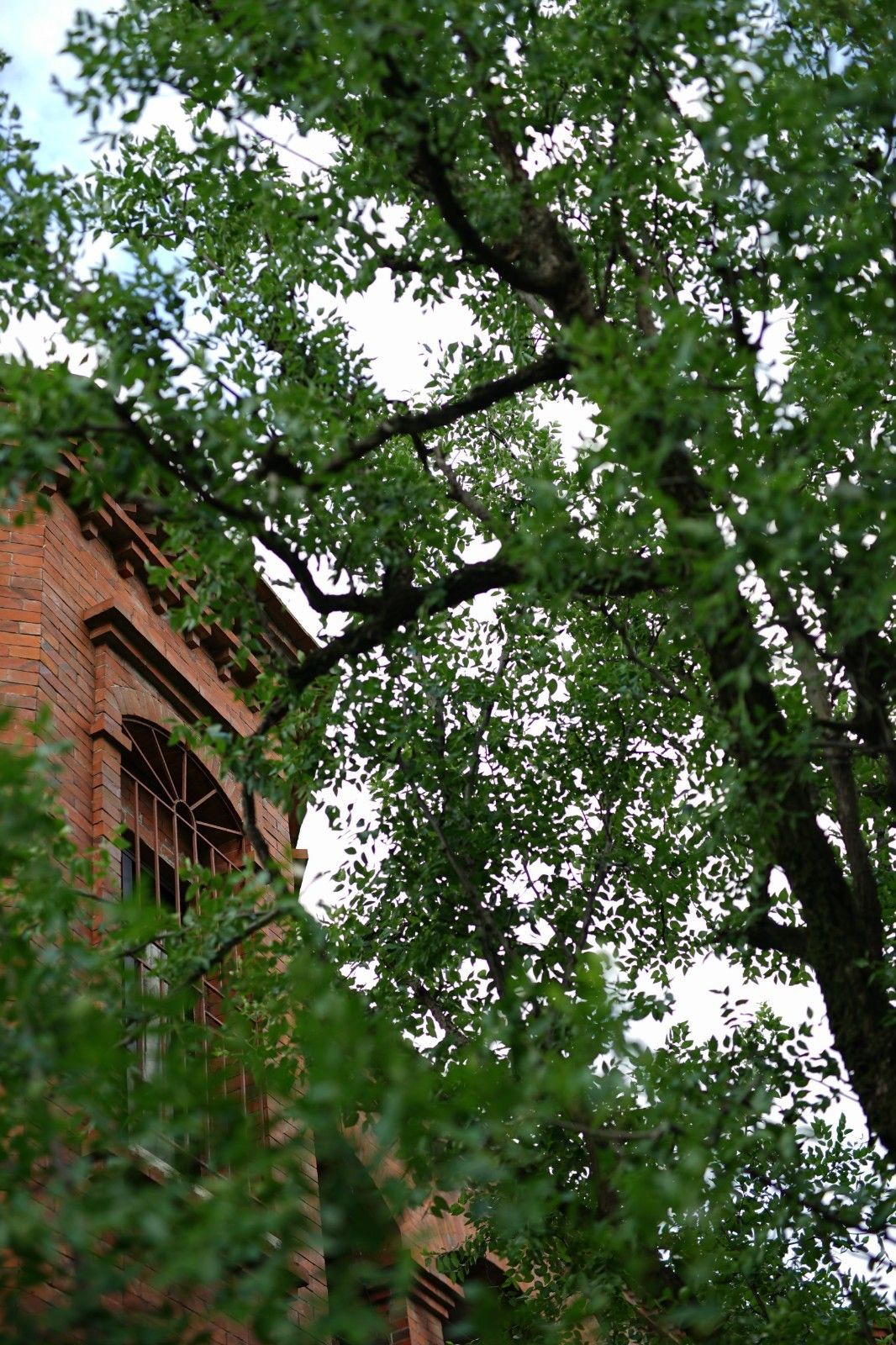 鼓浪嶼·他城一見，生命不息折騰不止
