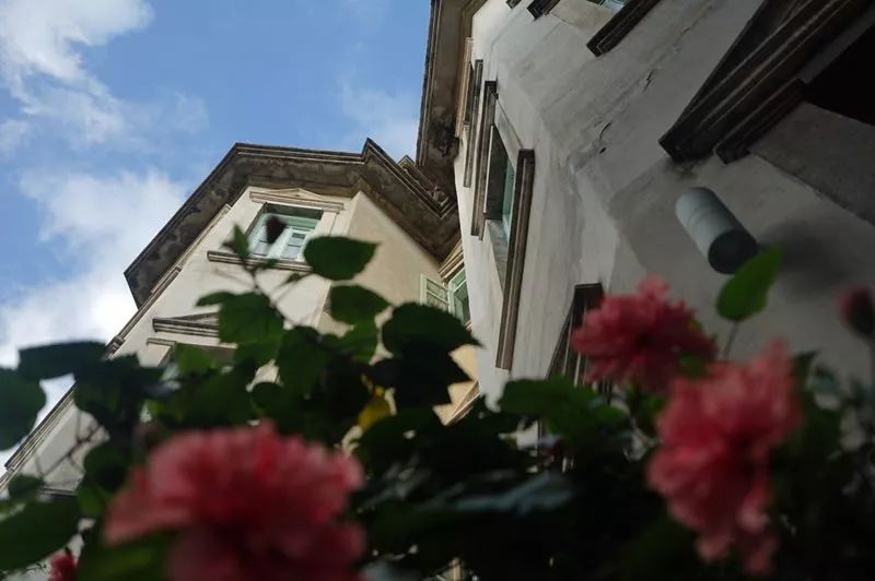 鼓浪嶼·他城一見，生命不息折騰不止