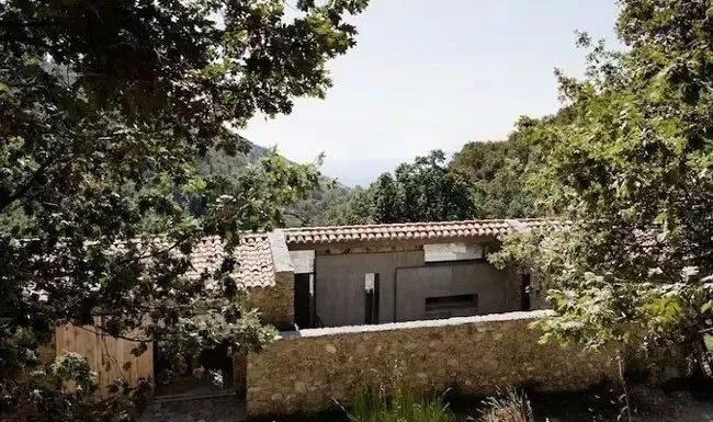 驚呆了，雞窩豬舍馬廄牛棚羊圈變民宿!