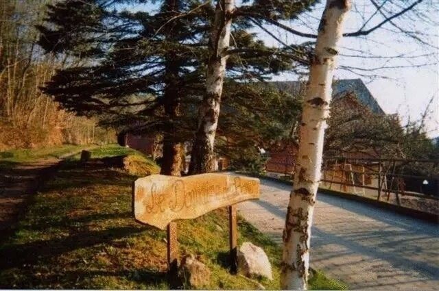 驚呆了，雞窩豬舍馬廄牛棚羊圈變民宿!