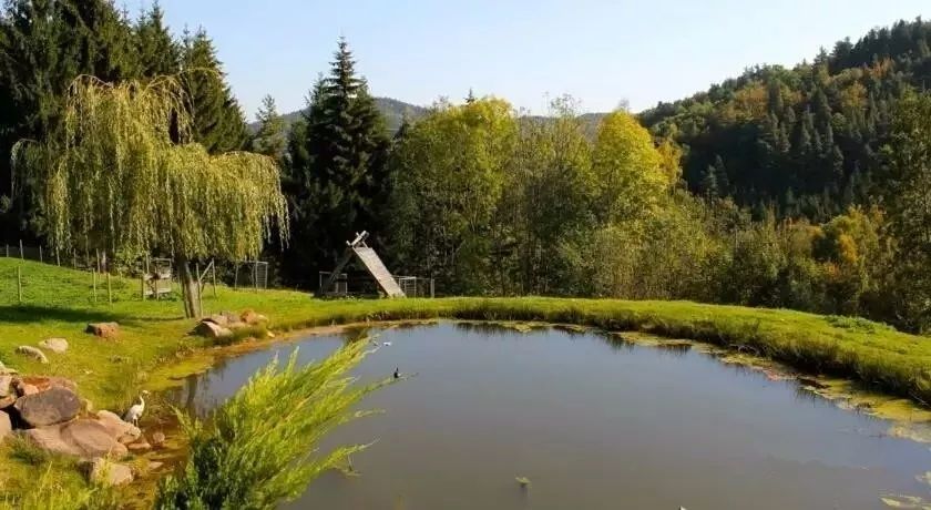 驚呆了，雞窩豬舍馬廄牛棚羊圈變民宿!