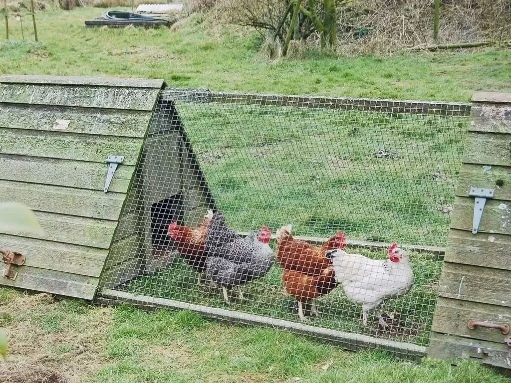 驚呆了，雞窩豬舍馬廄牛棚羊圈變民宿!