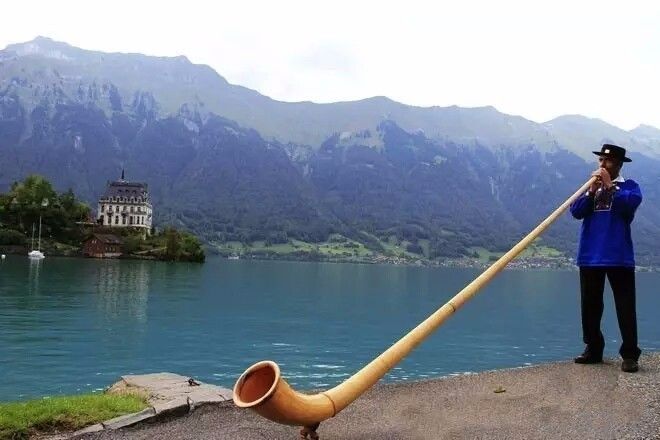 驚呆了，雞窩豬舍馬廄牛棚羊圈變民宿!