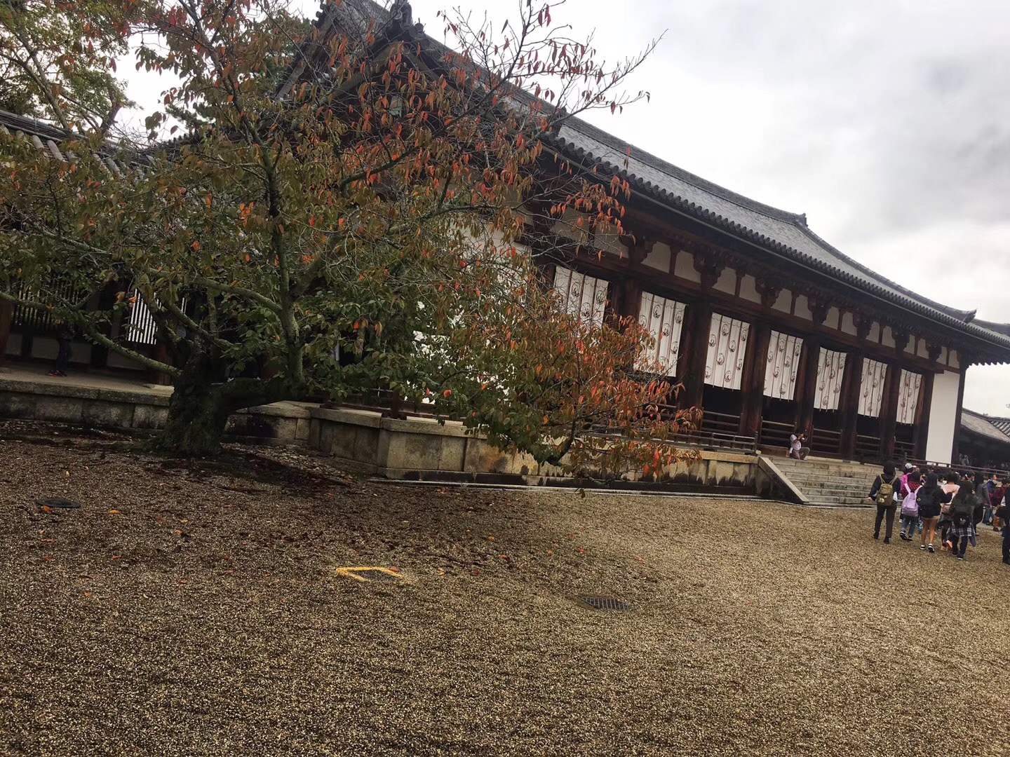 奈良·法隆寺，唐昭提寺佛教圖片