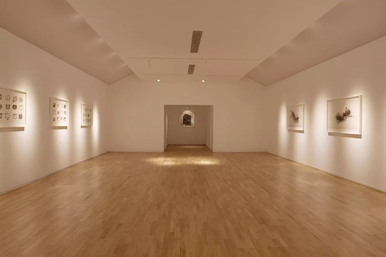 青山周平有熊公寓，一種部落式的共享生活