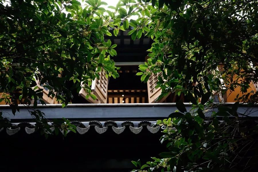 青山周平有熊公寓，一種部落式的共享生活