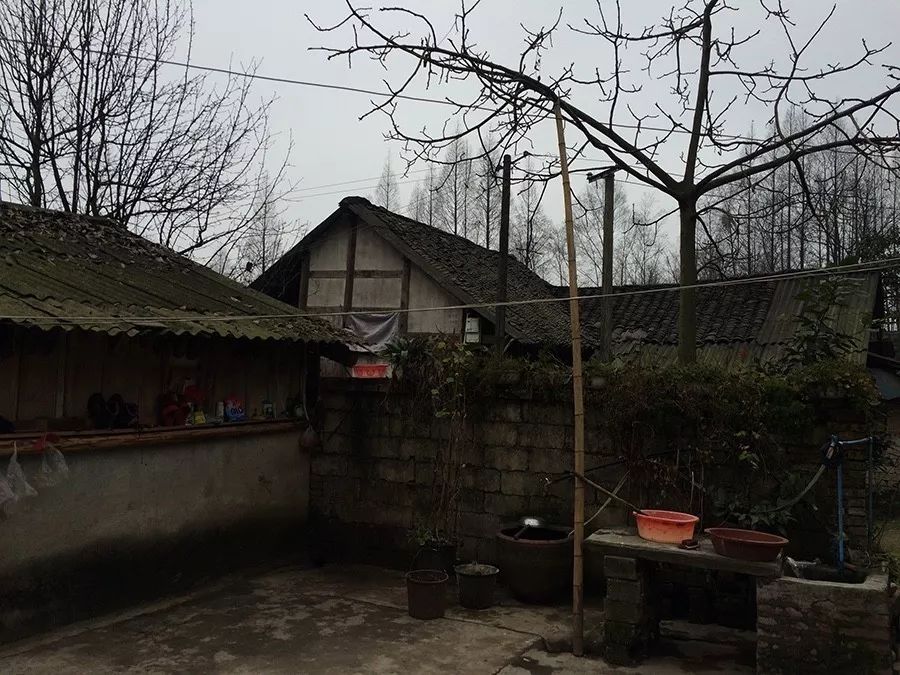 青城山·路之青城，山溝里的豬圈民宿