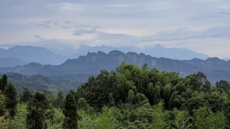 青城山·路之青城，山溝里的豬圈民宿