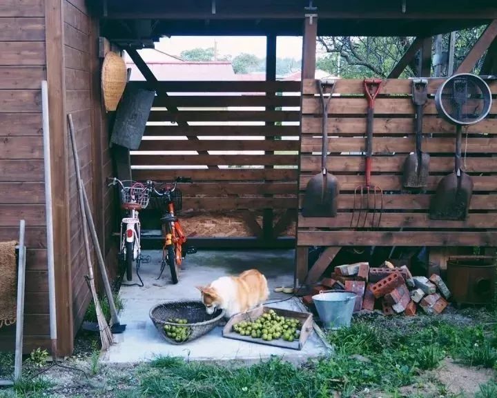 北海道的海濱小鎮(zhèn)，一家四口的日子才最幸福