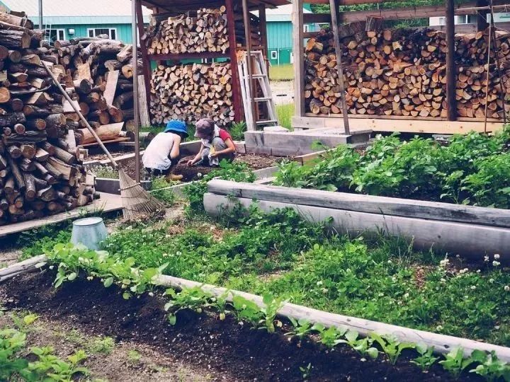 北海道的海濱小鎮(zhèn)，一家四口的日子才最幸福