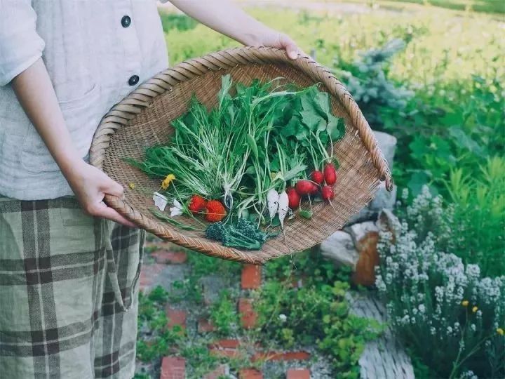 北海道的海濱小鎮(zhèn)，一家四口的日子才最幸福