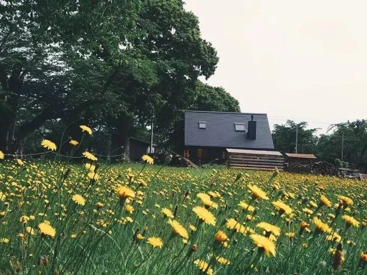 北海道的海濱小鎮(zhèn)，一家四口的日子才最幸福