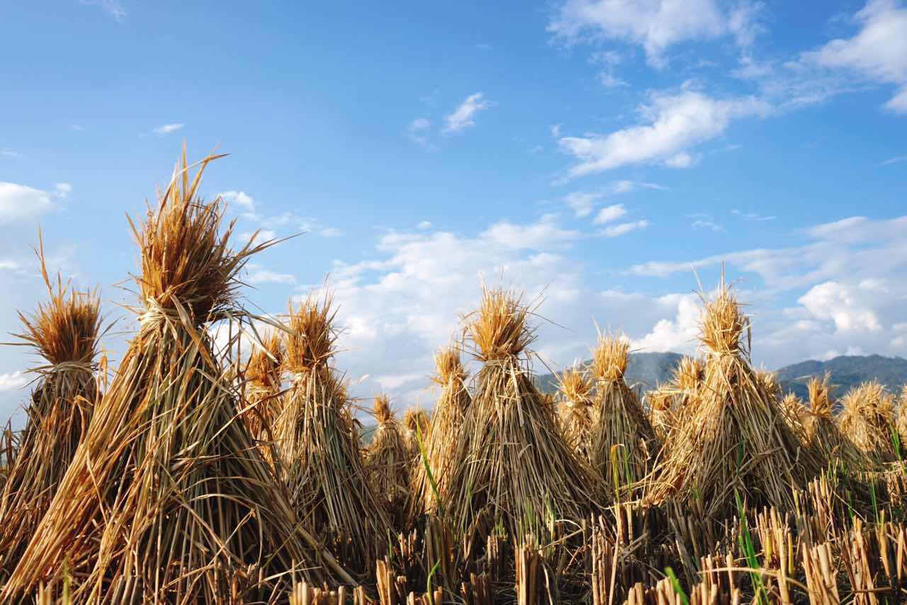 漫宿·見(jiàn)山，在古鎮(zhèn)享受寧?kù)o而恬淡的時(shí)光