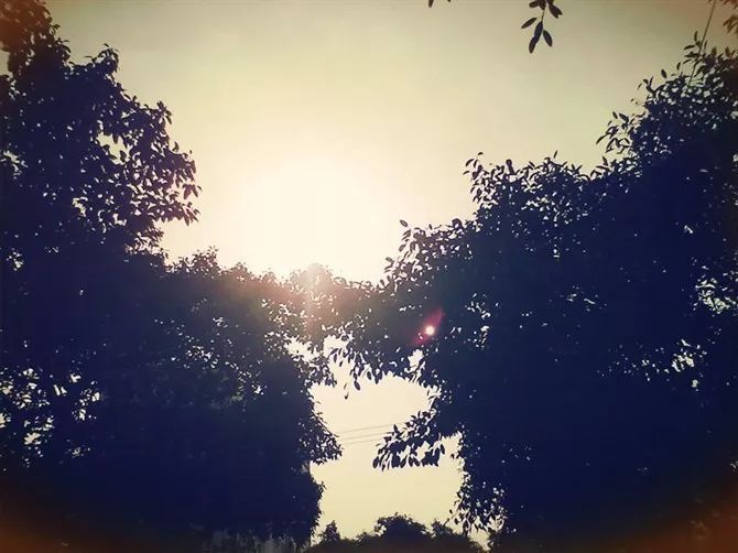 “中國最美寺院”寂照庵，房子象征著家是情感