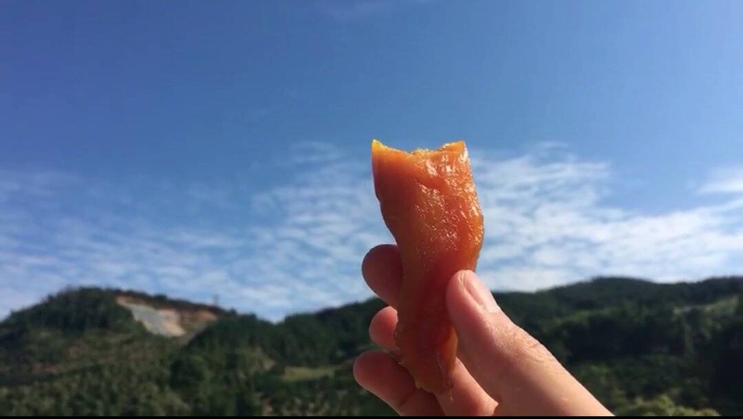 莫干山·趣舍一棵樹，置身山中與山林萬物相連