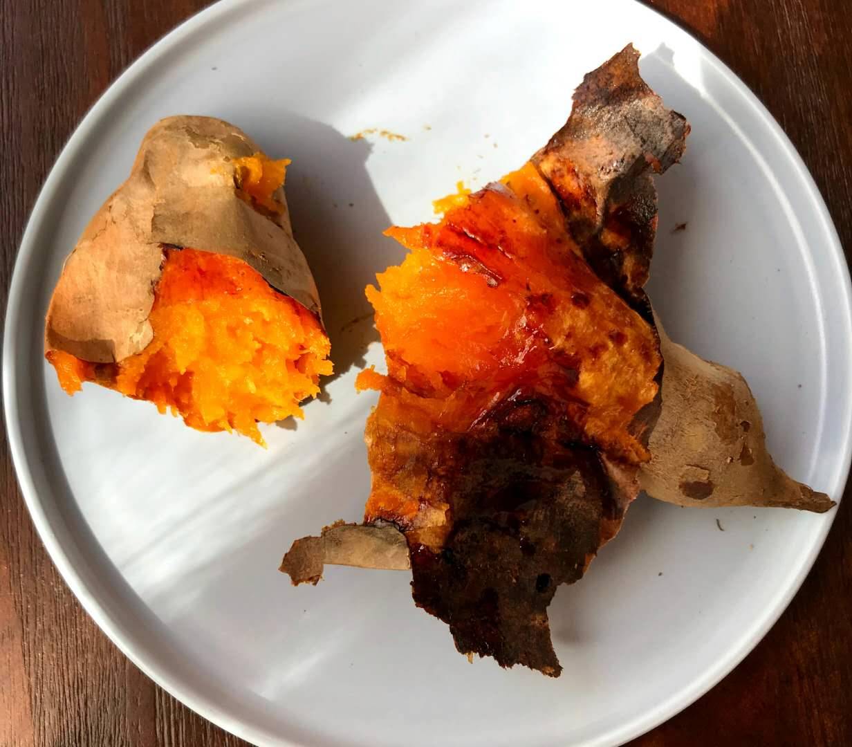 莫干山·趣舍一棵樹，置身山中與山林萬物相連