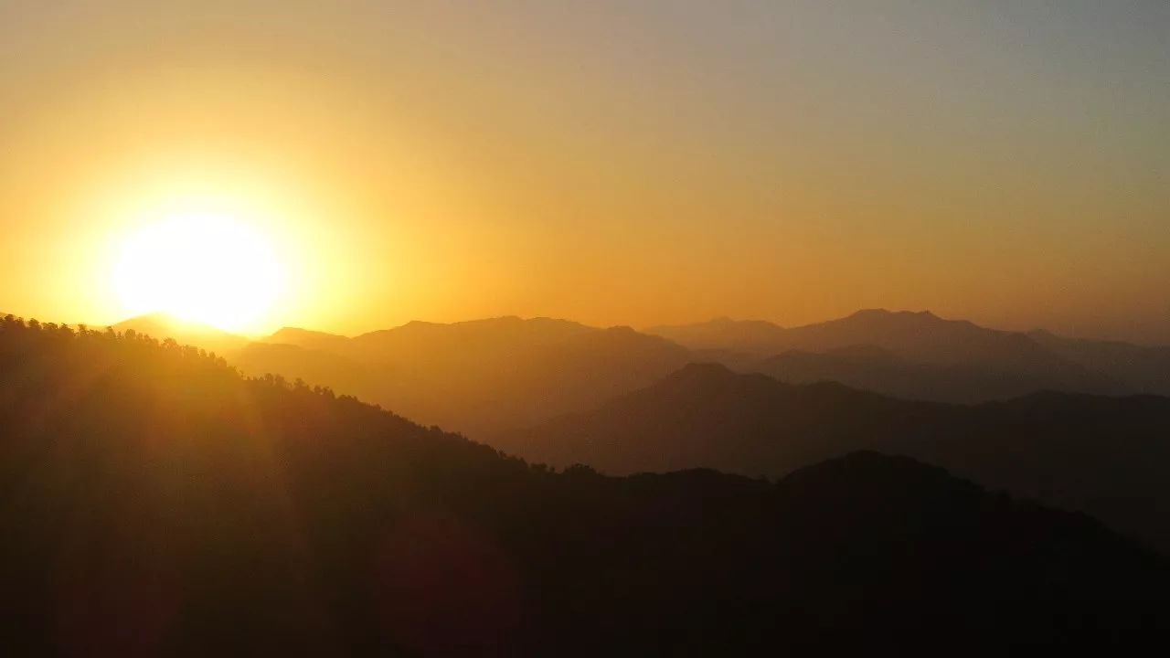 莫干山·趣舍一棵樹，置身山中與山林萬物相連