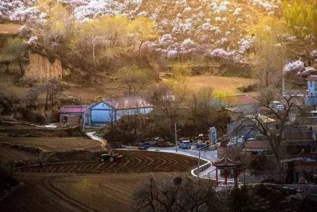 北京·山楂小院，留住最土的鄉(xiāng)味和溫暖的人心