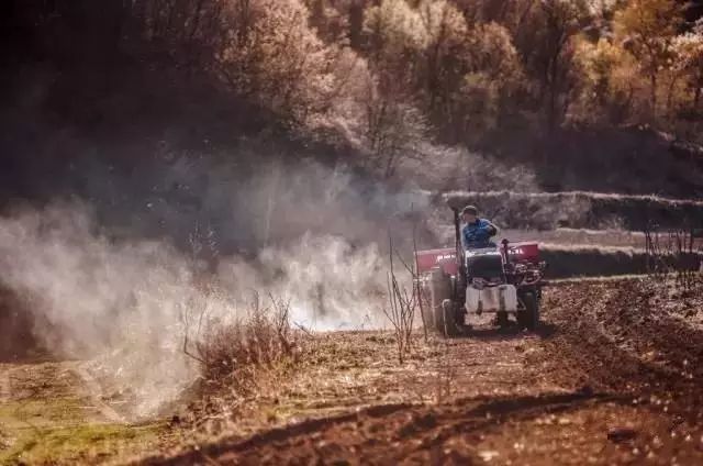 北京·山楂小院，留住最土的鄉(xiāng)味和溫暖的人心