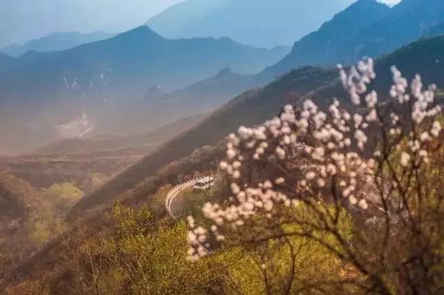 北京·山楂小院，留住最土的鄉(xiāng)味和溫暖的人心