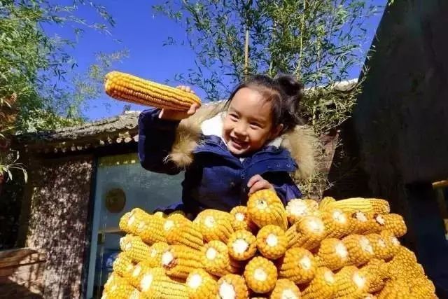 北京·山楂小院，留住最土的鄉(xiāng)味和溫暖的人心