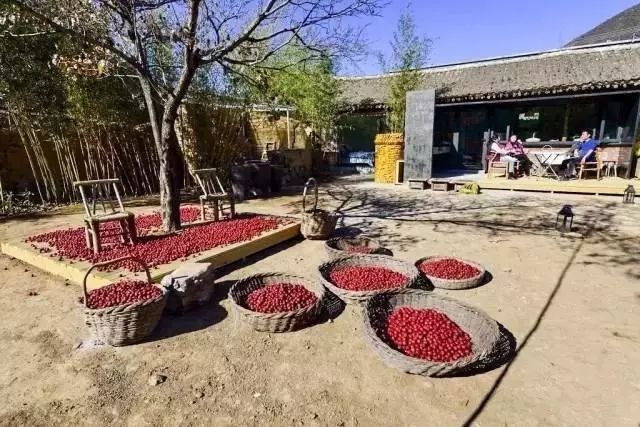 北京·山楂小院，留住最土的鄉(xiāng)味和溫暖的人心