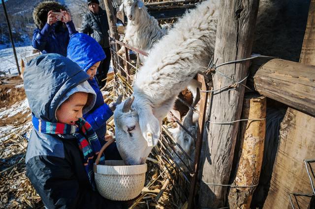 北京·山楂小院，留住最土的鄉(xiāng)味和溫暖的人心