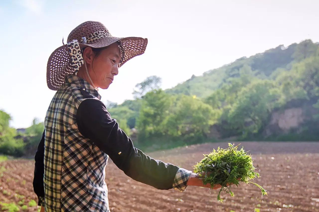 北京·山楂小院，留住最土的鄉(xiāng)味和溫暖的人心