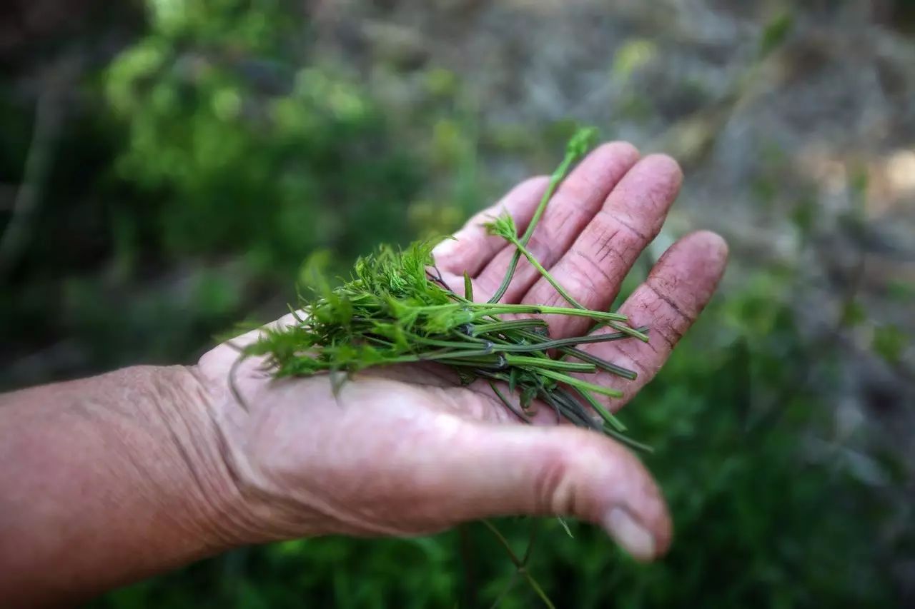 北京·山楂小院，留住最土的鄉(xiāng)味和溫暖的人心