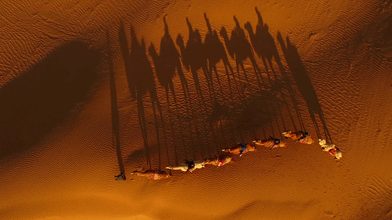 黃河·宿集，你想要的快意江湖就在這里