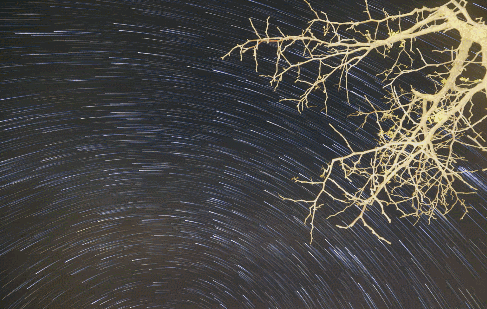 黃河·宿集，你想要的快意江湖就在這里