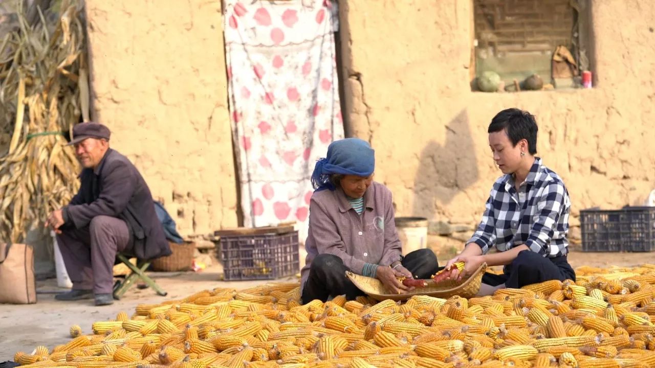 黃河·宿集，你想要的快意江湖就在這里