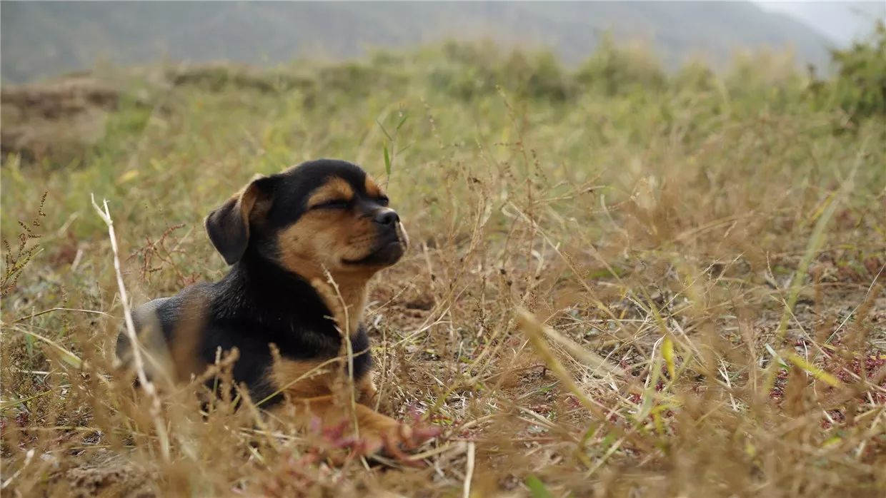 黃河·宿集，你想要的快意江湖就在這里