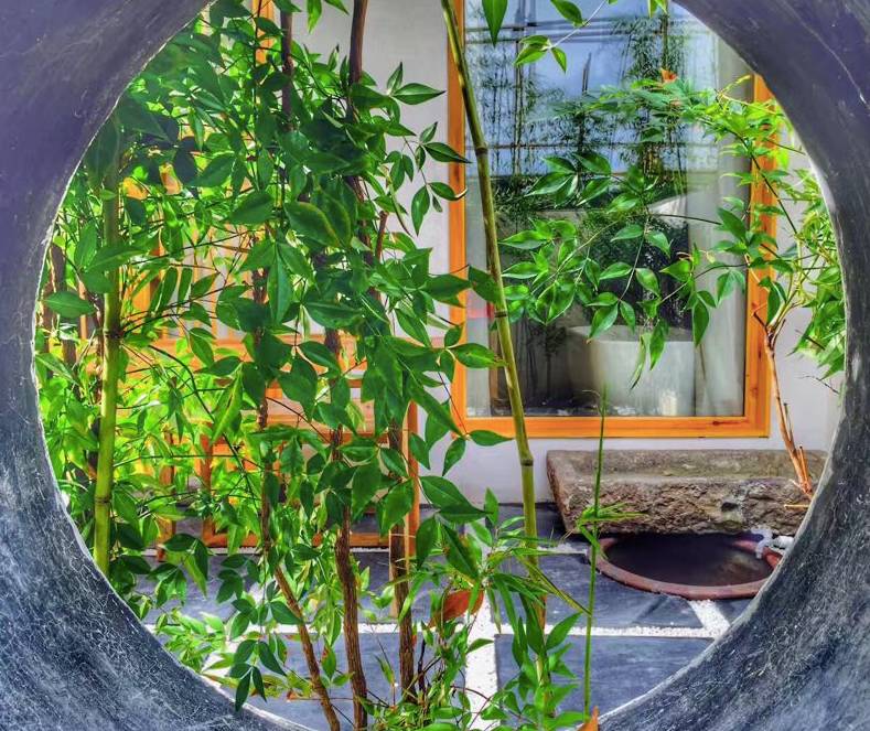 烏鎮(zhèn)·青壚，江南水鄉(xiāng)最美一隅就如黃昏一簾幽夢(mèng)